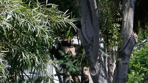 Echo Park