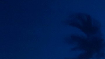 Liliana Pérez, confiesa que nunca pensó que trabajaría  para un equipo de la NFL.   . / foto: Aurelia Ventura.