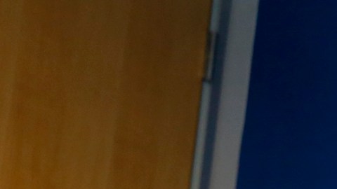 Liliana Pérez, directiva de Los Angeles Charges y presidenta de la directiva de El Pueblo vota para que echen al Burro de la Placita Olvera.  (Aurelia Ventura/ La Opinión)