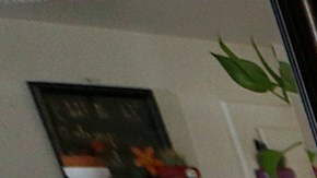 Inés Feijo, María Vega y Katherine Álvarez protestan los aumentos de la renta en Downey. (Aurelia Ventura/La Opinión)