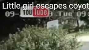 Una niña en Illinois tuvo la suerte de escapar de un ataque de coyote en su  patio.