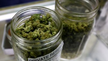 Cámara Baja vota a favor de legalizar la marihuana
