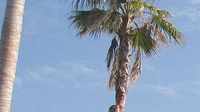 Las universidades cerraron sus puertas como medida de prevención.