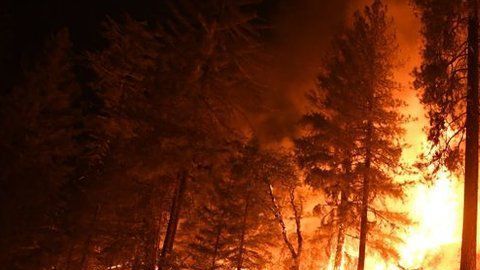 Los bomberos no han podido contener las fuertes llamas.