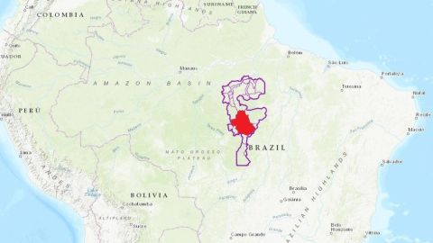 108559575_bacia2