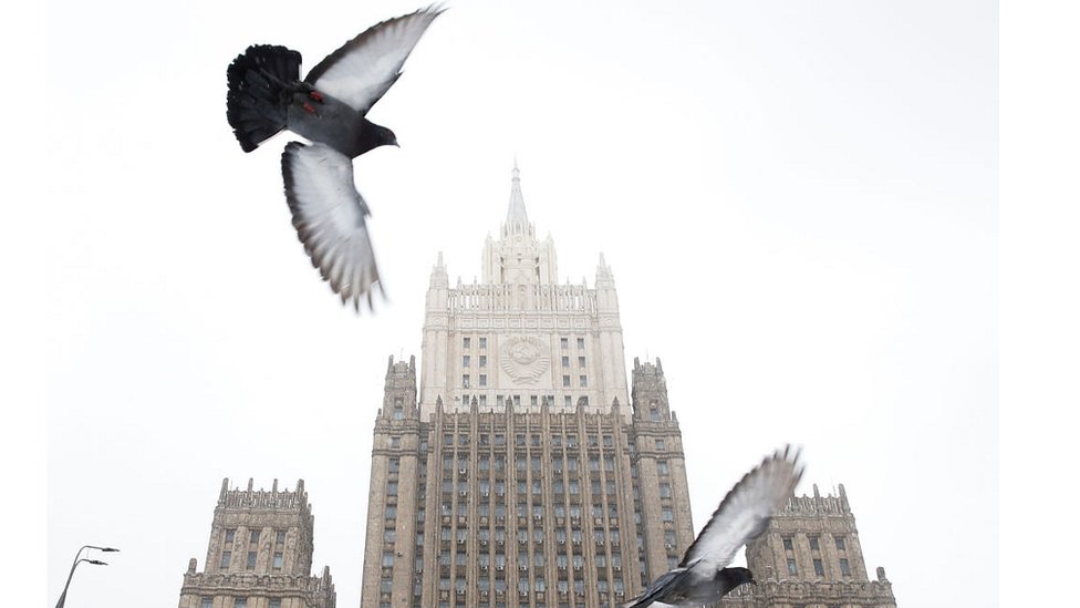 Desclasificado: cómo la CIA usó palomas durante la Guerra Fría para espiar a los soviéticos