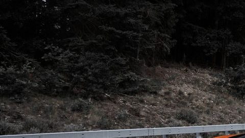 Bugatti Chiron dice que ha logrado superar las 300 millas por hora, y ahora se retira de la carrera para crear los autos de producción más rápidos del mundo