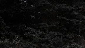 Bugatti Chiron dice que ha logrado superar las 300 millas por hora, y ahora se retira de la carrera para crear los autos de producción más rápidos del mundo