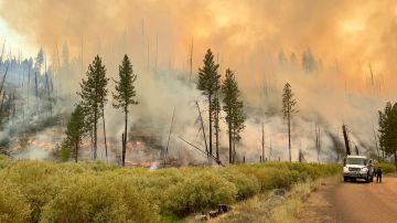 El incendio Walker en el Bosque Nacional Plumas, es el mayor de California.