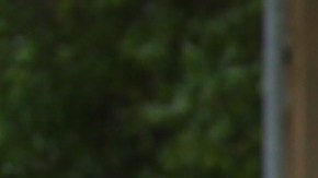 Pérez fue deportado en marzo de 2018. Ahora vuelve a pedir la ciudadanía.