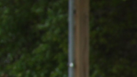 Pérez fue deportado en marzo de 2018. Ahora vuelve a pedir la ciudadanía.