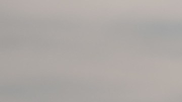 El muro de 30 pies de altura requiere tiempo para construirlo.