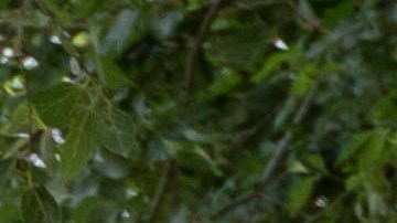 El juez Dana Sabraw tiene que definir con mayor exactitud las pautas para separar familias en la frontera.