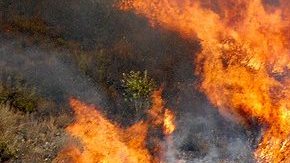 Imágenes del incendio iniciado en Eagle Rock el pasado 25 de agosto que amenazó casas en Glendale.