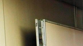 CBP trabaja con Bahamas Paradise Cruise Line para procesar las llegadas de pasajeros de Bahamas.