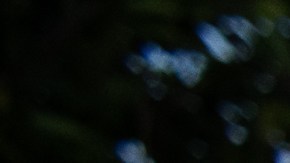 NDLON: "La mejor manera de proteger de verdad a las comunidades es expulsar a ICE".