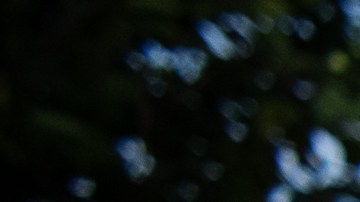 NDLON: "La mejor manera de proteger de verdad a las comunidades es expulsar a ICE".