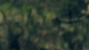 En el peor de los casos, tendrás que contratar una grúa