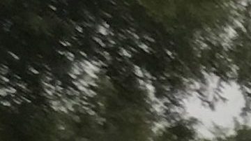 La Guardia costera ayuda a rescatar personas en Beaumont, Texas.