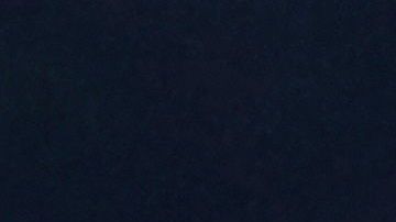 El saludo de Melania Trump a Trudeau.