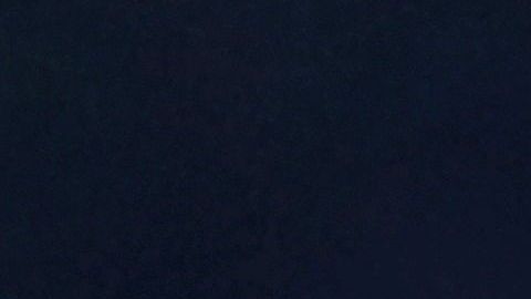 El saludo de Melania Trump a Trudeau.