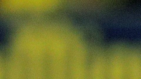 Gareth Bale, que en la pretemporada parecía fuera de la plantilla, hoy salvó a los merengues con un doblete
