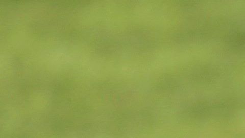 Cristiano Ronaldo protagonizó un momento muy extraño en el entrenamiento de Portugal.