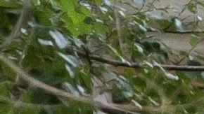 Blanca Fernández Ochoa que lleva 10 días desaparecida