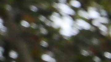 La fiscalía española indicó que tiene evidencia de que cerca de un millón de dólares fueron transferidos