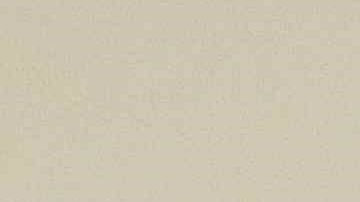 El uruguayo dejó a la Selección de Costa Rica a unas horas de la salida de Alfonso Sosa