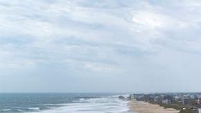 Una búsqueda exhaustiva en 2018 documentó tan solo dos especímenes de esta ave.