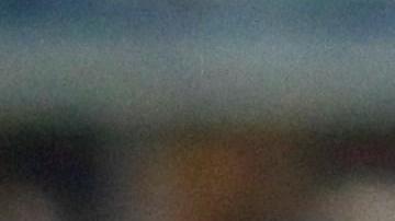 Alexis Vega fue el héroe del 'Rebaño'