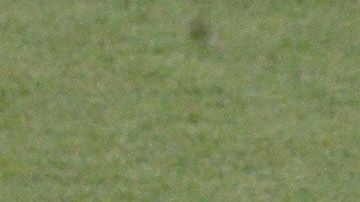 Los ‘ciudadanos’ arrancan su andar con su primer duelo de visita al Shakhtar