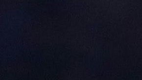 El mexicano sigue sin convencer al exjugador holandés.