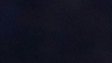 El mexicano sigue sin convencer al exjugador holandés.