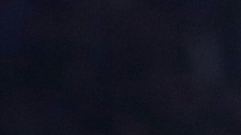 El mexicano sigue sin convencer al exjugador holandés.