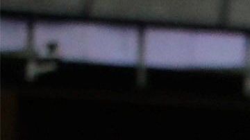 Los Yankees volvieron a ganar el título de la División Este de la Liga Americana después de 7 años.