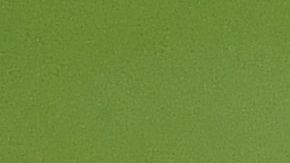 Edson Álvarez con el Ajax en un juego de la Champions League.