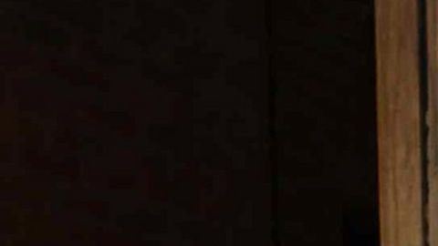 Toni Costa y Adamari López.