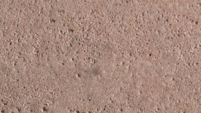 El amaranto protege las células del daño provocado por los radicales libres, ayudando a reducir el riesgo de formación de tumores.