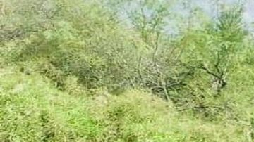 Alertan por alianza entre el CJNG y Los Metros cerca de la frontera