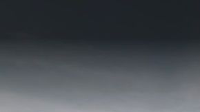 Alley Pond Park, Queens