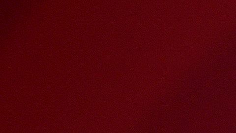 Aunque no se puede saber si el canal esta monetizado, se estima que los ingresos que obtendría por publicidad serían muy buenos.