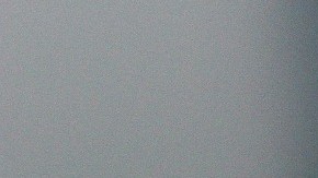 Muchos gatos negros se usan en rituales en este mes.