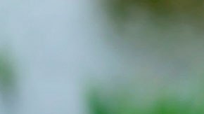 Estas apps te dan dinero por caminar o sólo por ver qué ves en tu teléfono.