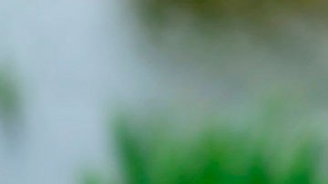 Estas apps te dan dinero por caminar o sólo por ver qué ves en tu teléfono.