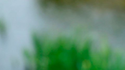 Estas apps te dan dinero por caminar o sólo por ver qué ves en tu teléfono.