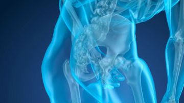 articulación rodillas