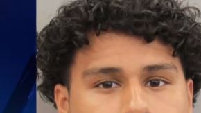 El video sirvió para que el hombre, identificado como Julio Coreas de 18 años, fuera arrestado.