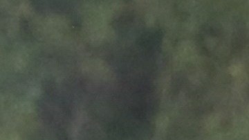 Justin Bieber y Hailey Baldwin